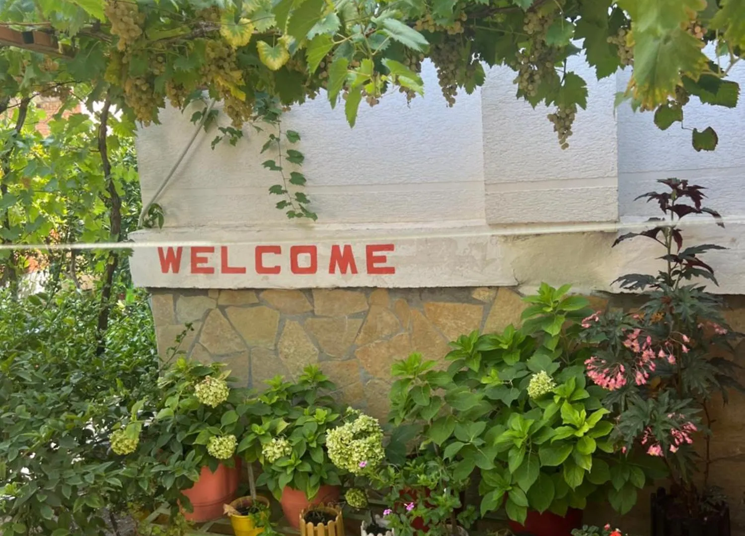 Apartment Geart Berat