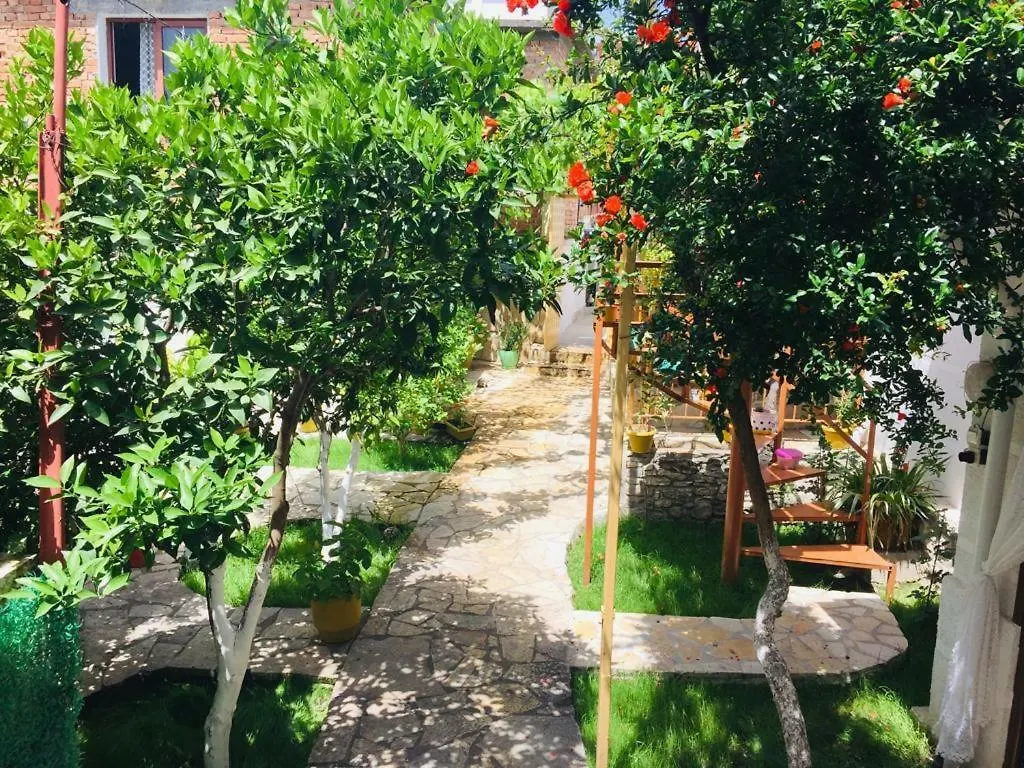 Apartment Geart Berat